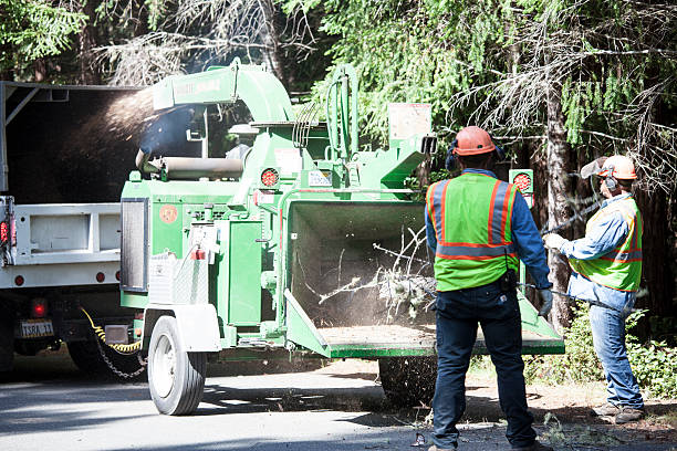 Best Mulching Services  in Mableton, GA